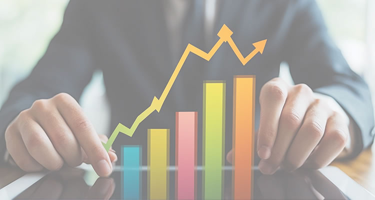 完善的售前售后